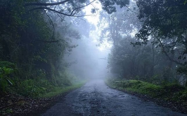 kodaikanal forest tour package