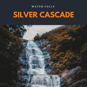 silver cascade